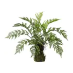 Möbelix Kunstpflanze Farn Braun L: 50 Cm