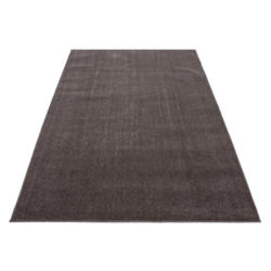 Hochflor Teppich Hellbraun Ata 120x170 Cm