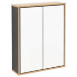 Möbelix Spiegelschrank Finn 2-Türig BxHxT: 60x75x18,5 cm Anthrazit