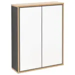 Möbelix Spiegelschrank Finn 2-türig Bxhxt: 60x75x18,5 Cm Anthrazit