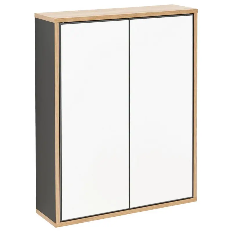 Spiegelschrank Finn 2-türig Bxhxt: 60x75x18,5 Cm Anthrazit