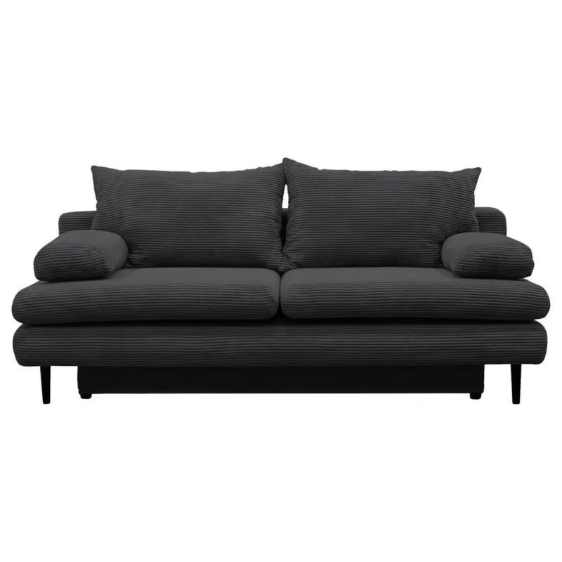 2-Sitzer-Sofa mit Schlaffunkt. Fiore und Bettkasten Grau