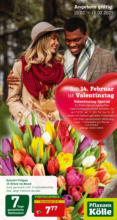 Pflanzen-Kölle Gartencenter Pflanzen-Kölle: Valentinstag - bis 16.02.2025