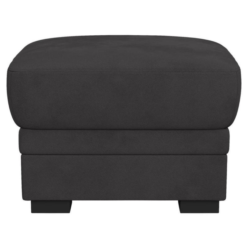 Hocker Marcus