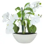 Möbelix Phalenopsis Rosaria, Weiss H: Ca. 54 Cm