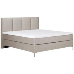 Boxspringbett Mir Topper 140x200 cm Graz, Taupe