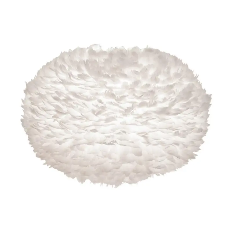 Leuchtenschirm 2012 Eos XL