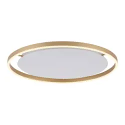 LED-Deckenleuchte 15392-60 Riuts