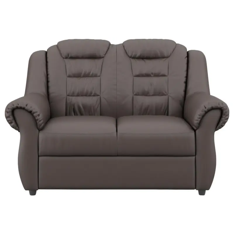2-Sitzer-Sofa Boston Braun Lederlook