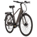 Möbelix E-Bike City Herren 149e 28 Zoll, 80 km, 65nm