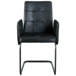 Armlehnstuhl Bordal Schwarz Gepolstert