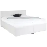 Möbelix Polsterbett 160x200 cm Lesia Cord Creme