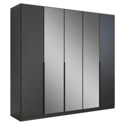 Drehtürenschrank Skyla Grau/glas B: 226 Cm