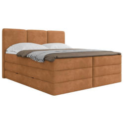 Boxspringbett Mit Bettkasten 180x200 Cm Castel V