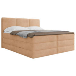 Boxspringbett Mit Bettkasten 160x200 Cm Castel V