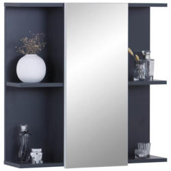 Spiegelschrank Pearl New Snol 119 BxHxT: 70x71x23 cm