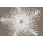 Möbelix Vliestapete 368/248 cm Blume