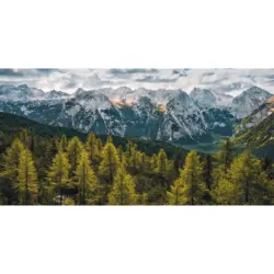 Vliestapete 200/100 cm Steine