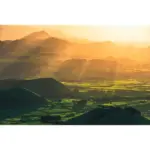 Möbelix Vliestapete 300/200 cm Bäume