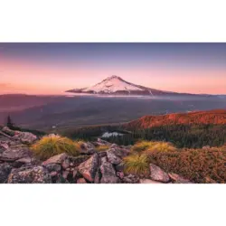 Vliestapete 400/250 cm Steine