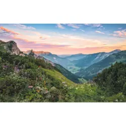 Vliestapete 400/250 cm Steine