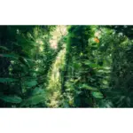 Möbelix Fototapete 450/280 cm Sträucher