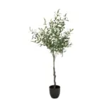Möbelix Kunstpflanze Olive