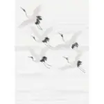 Möbelix Fototapete 200/280 cm Vogel