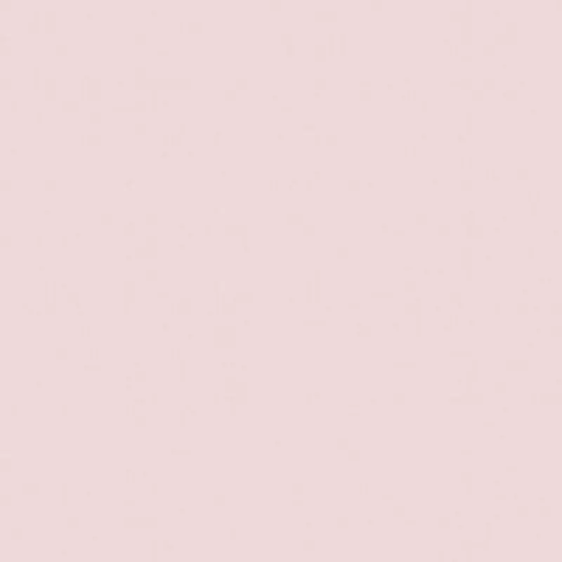 Vliestapete 52/1000 cm Uni