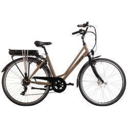 Elektrofahrrad Hollandia Optima Basic