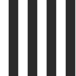 Vliestapete 53/1000 cm Streifen