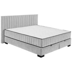 Boxbett Nagol C