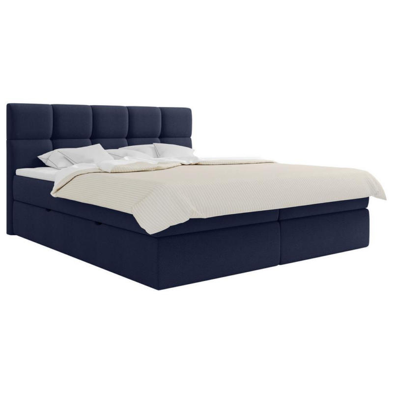 Boxbett Lorie II