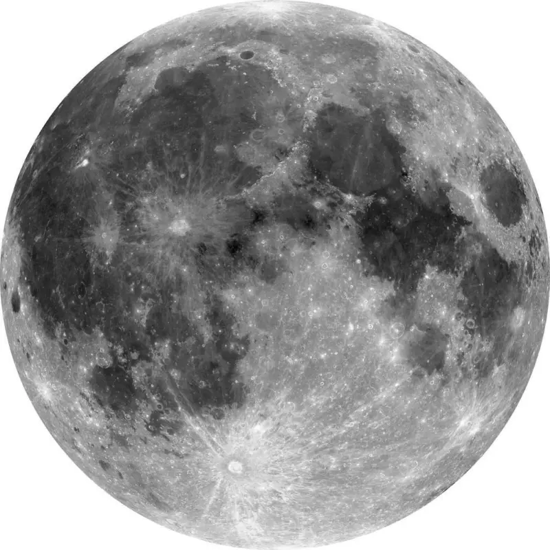 Fototapete 125 cm