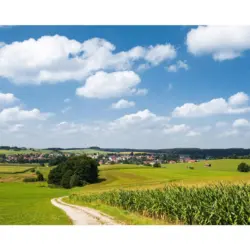 Fototapete 350/280 cm Graphik