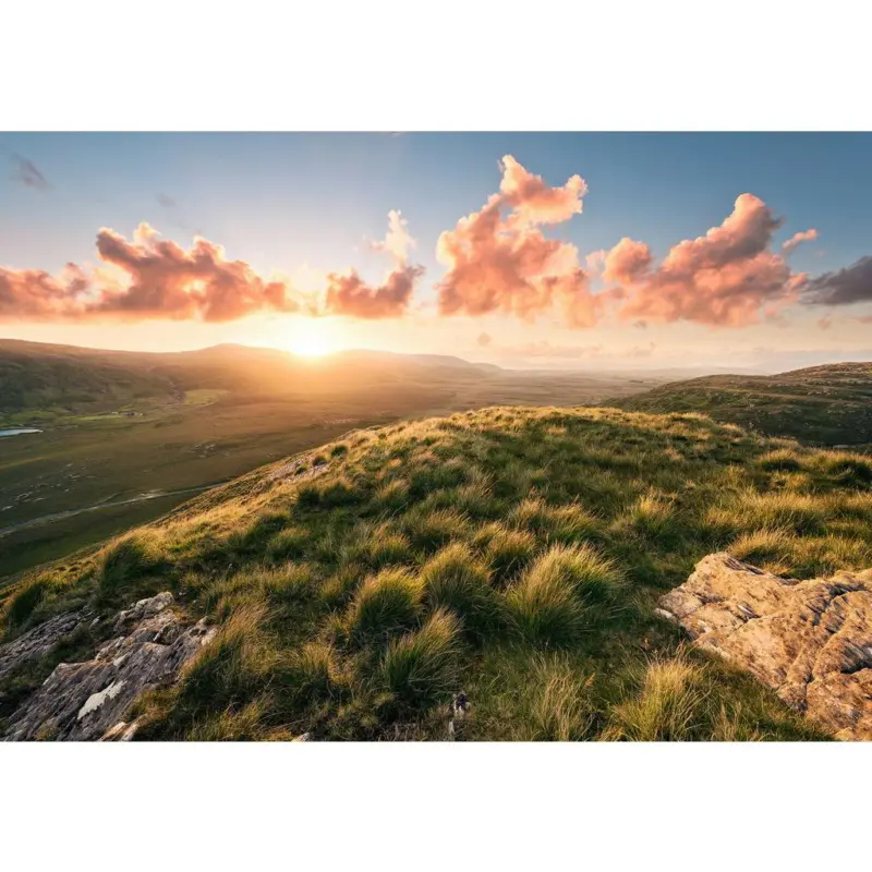 Fototapete 400/280 cm Graphik