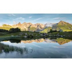 Fototapete 450/280 cm Graphik