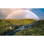 M&ouml;belix Fototapete 450/280 cm Graphik