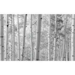 Fototapete 450/280 cm Graphik