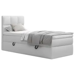 Boxbett Polly