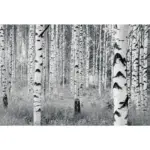 M&ouml;belix Vliestapete 400/270 cm B&auml;ume