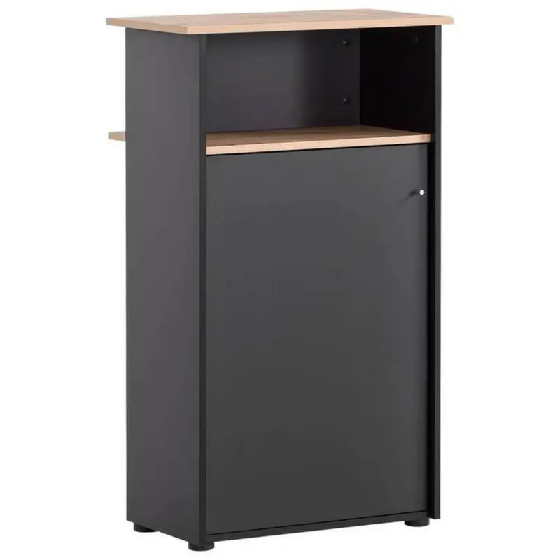 Stehpult Empfangstresen 660
