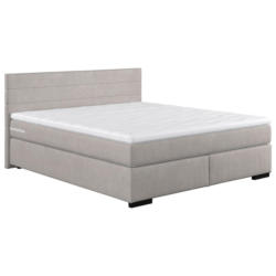 Boxspringbett mit Topper 160x200 cm Mammut,silberfarben