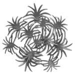 Möbelix Wanddeko Domizil Schwarz, 70x9 cm