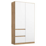 Möbelix Drehtürenschrank Nidda Eiche Artisan/weiß B: 40 Cm