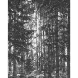 Vliestapete 200/250 cm Bäume
