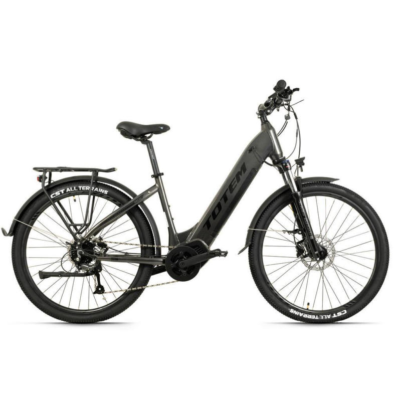 Elektrofahrrad Totem E-Suv Dlt-40, Anthrazit, 29 Zoll