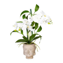 Kunstpflanze Orchideen Braun/Grün/Weiß, 60 cm