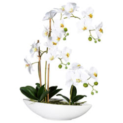 Kunstpflanze Orchideen Grün/Weiß, 60 cm