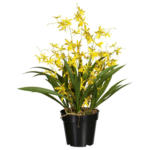 Möbelix Kunstpflanze Orchideen Gelb/Grün/Schwarz, 60 cm